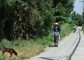 TP.HCM: Kiến nghị bỏ quy hoạch sử dụng đất