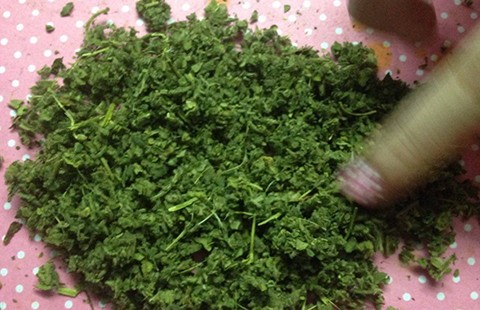 Chơi cỏ Mỹ bằng công cụ tự chế ảnh 1