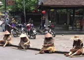 Xử phạt nhóm người giả ăn xin ở Hội An