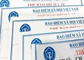 Xe ôm, giúp việc ở TP.HCM được hỗ trợ 50% phí bảo hiểm y tế