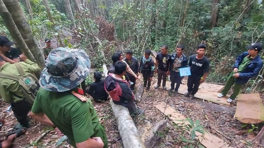 Khởi tố 12 người phá rừng ở Lạc Dương  ảnh 1