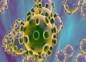 Tỷ lệ chữa trị thành công bệnh nhân nhiễm virus Corona thế nào