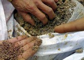 Công ty Phân bón Nông Thuận Phát bị đình chỉ hoạt động