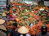 Vải thiều rộng đường sang Nhật, táo Nhật thông thoáng về VN