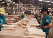 Hàng ngàn lao động ngành gỗ mất việc do COVID-19