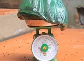 Ruồi đong bằng kg, dân chặn xe vào bãi rác Nam Sơn
