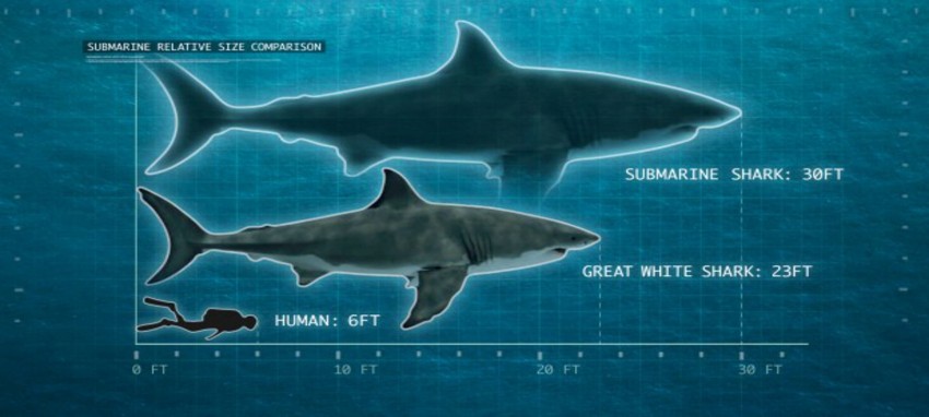 Cá mập khổng lồ Megalodon dĩ nhiên có thật thậm chí ccó thể còn lớn hơn  chúng ta nghĩ