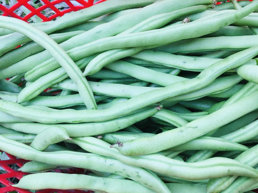 Ăn loại rau này hàng ngày để giảm lượng đường trong máu ảnh 1