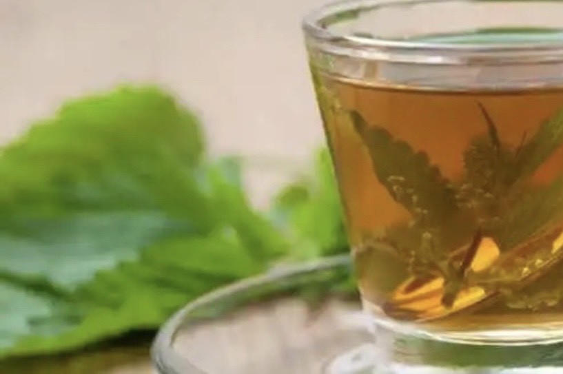 Uống những loại trà này để giảm mức axit uric ảnh 2