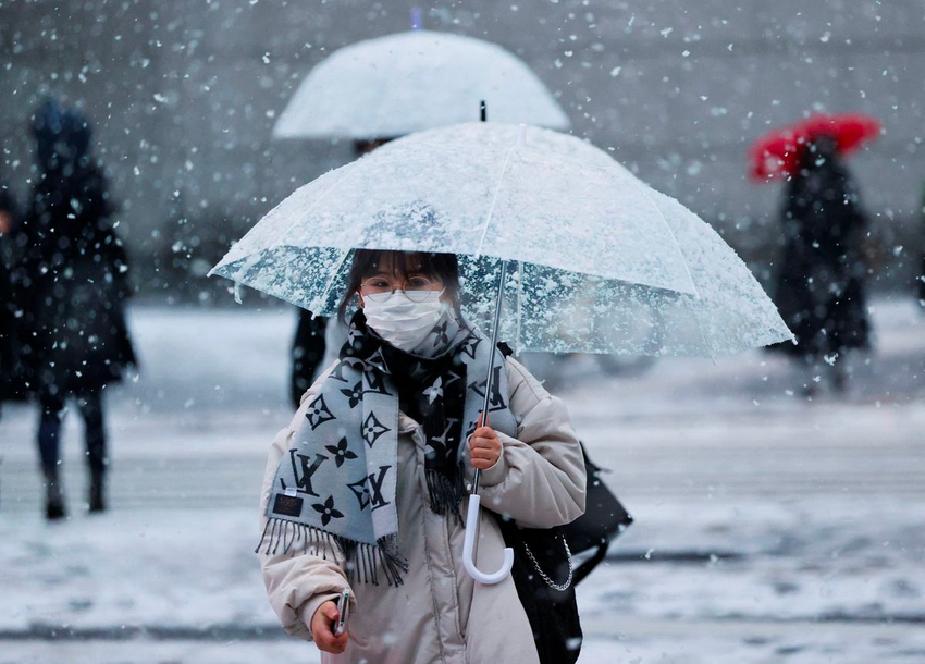 Tuyết làm gián đoạn giao thông ở Nhật ảnh 1