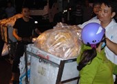 Phát hiện sai phạm ở trung tâm giết mổ gia cầm lớn tại TP.HCM