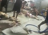 Thịt bò, gà bẩn vương vãi khắp sàn nhà, gần cống thoát nước