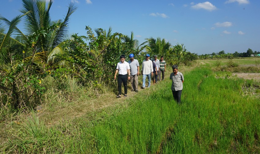 Long An proposes provinces to pay attention and prioritize materials for the 3rd Ring Project. Photo 2