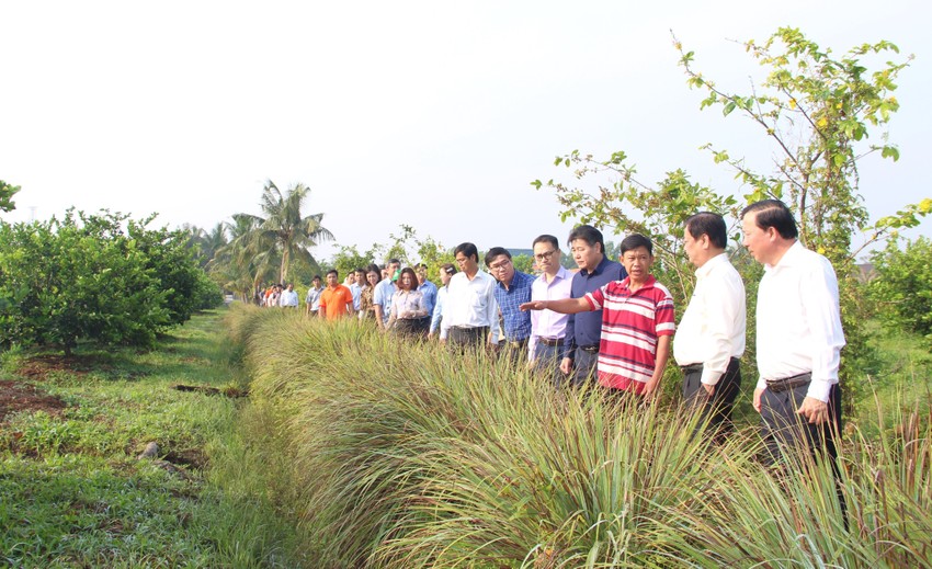 Minister Le Minh Hoan surveyed the new rural model in Long An Photo 2