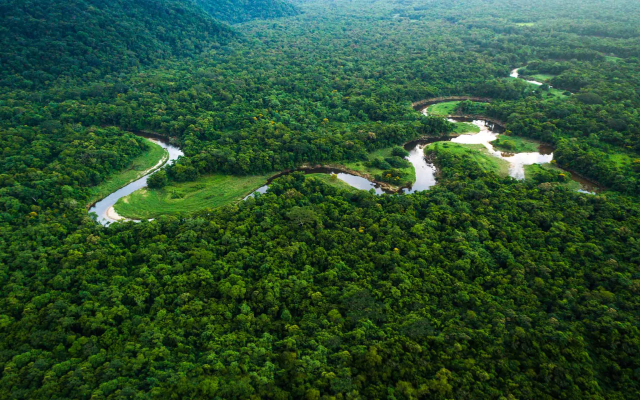 Lá phổi hành tinh Amazon sắp quay ngược trả thù Trái đất?