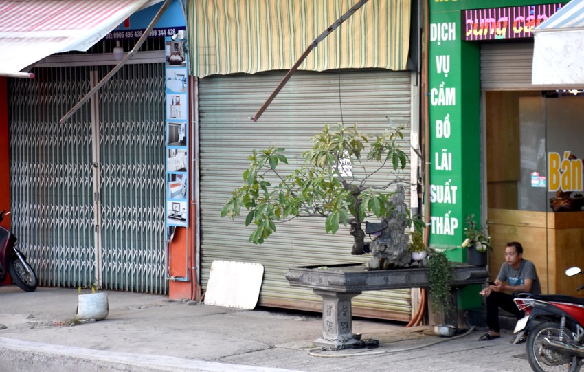 Công an TP Nha Trang thụ lý vụ chó cắn du khách nước ngoài
