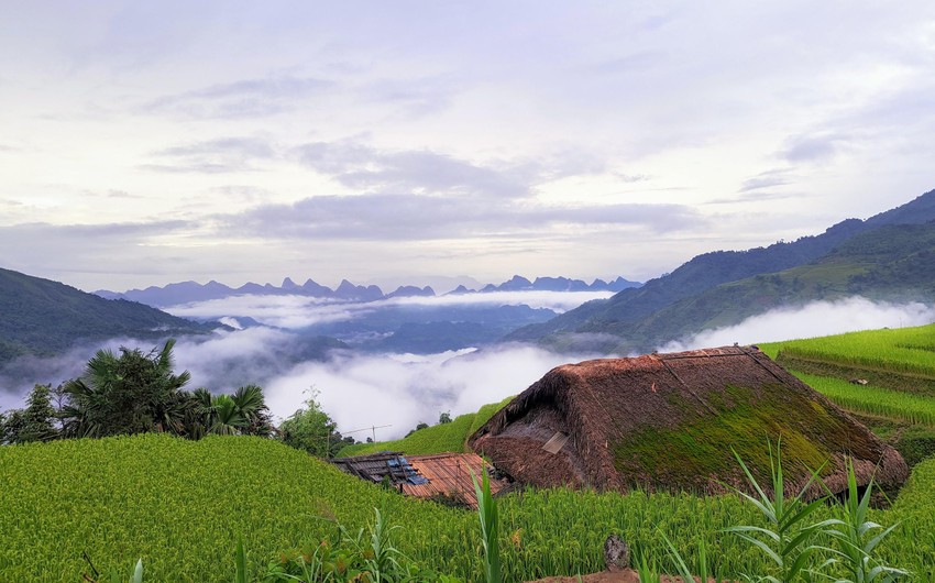 Ngẩn Ngơ Ngắm Ngôi Làng Rêu Phong 'Giấu Trong Mây' Ở Hà Giang