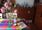 Du ký 'Vàng son một thuở Ba Tư'