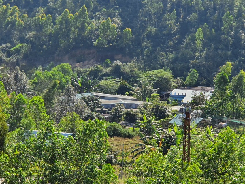 Allowing people to dismantle unauthorized works in Quy Nhon photo 4