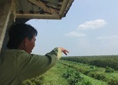 Cảnh báo cháy cấp V hơn 3.000 ha rừng tràm ở Cà Mau