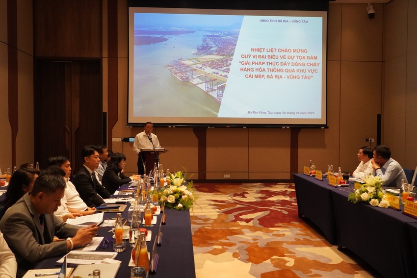 Bà Rịa-Vũng Tàu: Nghe hiến kế thúc đẩy dòng chảy hàng hóa thông qua khu vực Cái Mép ảnh 1