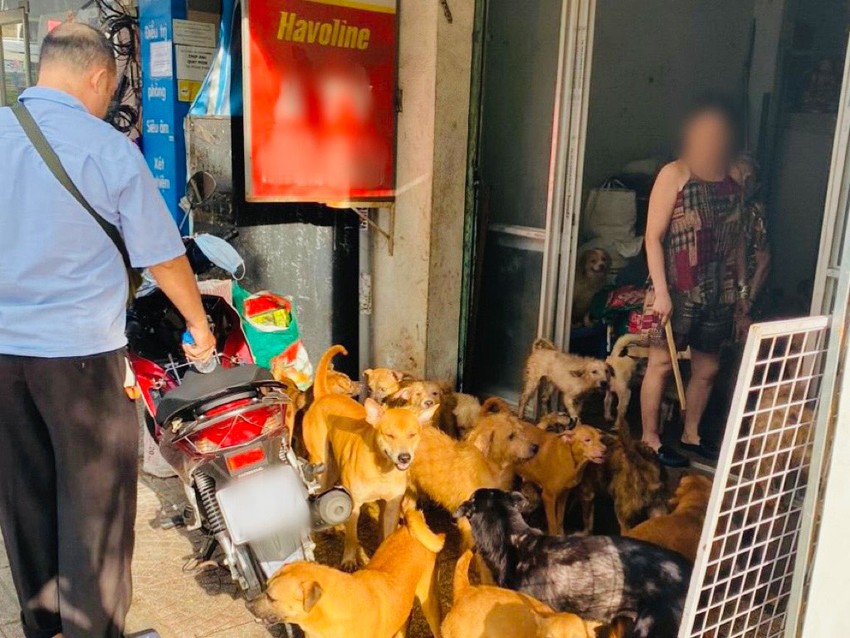 Cần bổ sung quy định quản lý nuôi chó số lượng lớn ảnh 1