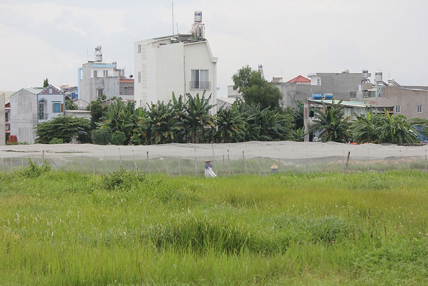 Bàn về việc 'tạm dừng' thực hiện các thủ tục hành chính ảnh 1