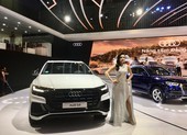 Ô tô nhập khẩu nguyên chiếc tụt dốc 'thảm'