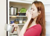 Vì sao thực phẩm lưu trữ trong tủ lạnh cũng dễ bị hỏng?