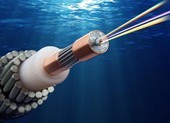 Nhà mạng cam kết gì khi cáp quang biển gặp sự cố?