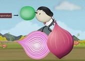 Tại sao khi cắt hành chúng ta lại chảy nước mắt?