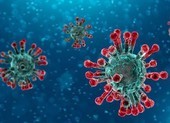 Châu Âu có ca tử vong đầu tiên vì virus COVID-19