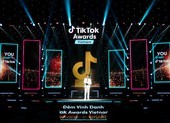 Ai là nhà sáng tạo ấn tượng trên TikTok trong năm 2020?