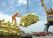 Thủ tướng yêu cầu tháo gỡ khó khăn cho xuất khẩu gạo