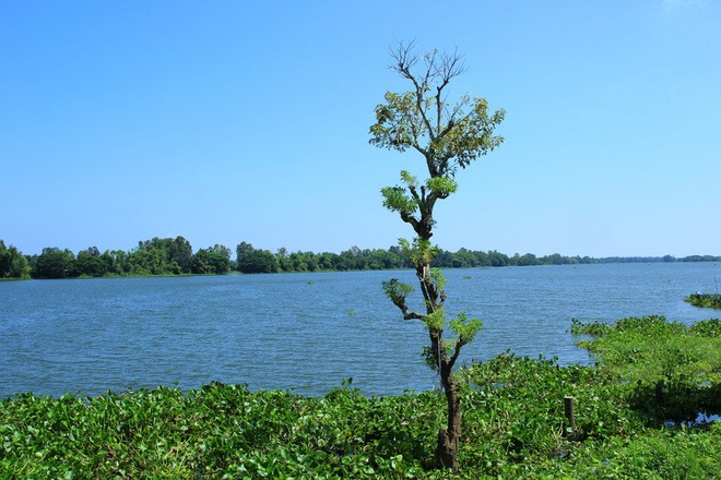 Vẻ bình yên miền sông nước An Giang ảnh 4