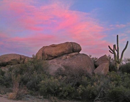 Startled with sexy natural scenes that make people blush