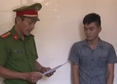 Thuê 2 ô tô rồi làm giả giấy tờ mang đi bán và cầm cố