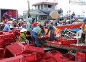 Thừa Thiên - Huế lên phương án dời dân tránh bão số 5 đảm bảo phòng dịch