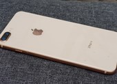 iPhone 7 Plus, iPhone 8 Plus và iPhone X bất ngờ hút khách