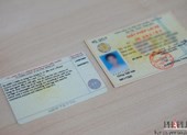 Cách kiểm tra giấy phép lái xe là thật hay giả ngay tại nhà
