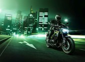 Kawasaki Z900 2020 'hút hồn' người dùng