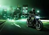 Kawasaki Z900 2020 'hút hồn' người dùng 