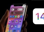 Danh sách 18 thiết bị được hỗ trợ nâng cấp lên iOS 14