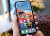 Cách bật chế độ Picture in Picture của YouTube trên iOS 14