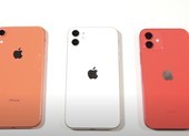 iPhone 11 và iPhone 12 giảm hiệu suất khi cài đặt iOS 14.5.1?