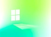 Mất dữ liệu vì bộ cài Windows 11 giả mạo