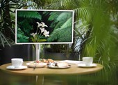 Trợ thủ đắc lực không thể thiếu khi làm việc và giải trí tại nhà