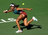Kỷ lục của Murray truyền cảm hứng cho 'bông hồng lai'