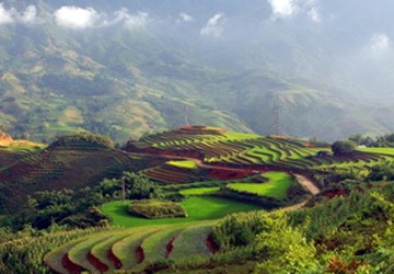 Sau 20 năm, nhiệt độ ở Sa Pa tụt xuống mức 8 độ C ảnh 1