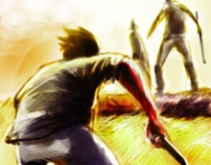 Bi kịch trên ruộng lúa ảnh 1